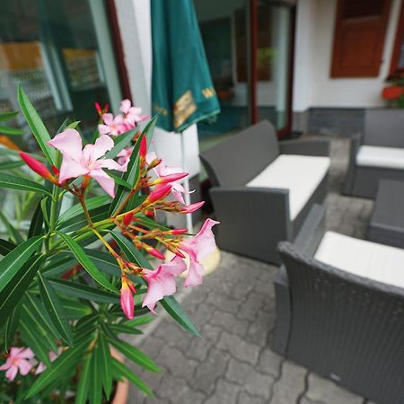 Landhotel Gasthof Zwota Клінґенталь Екстер'єр фото