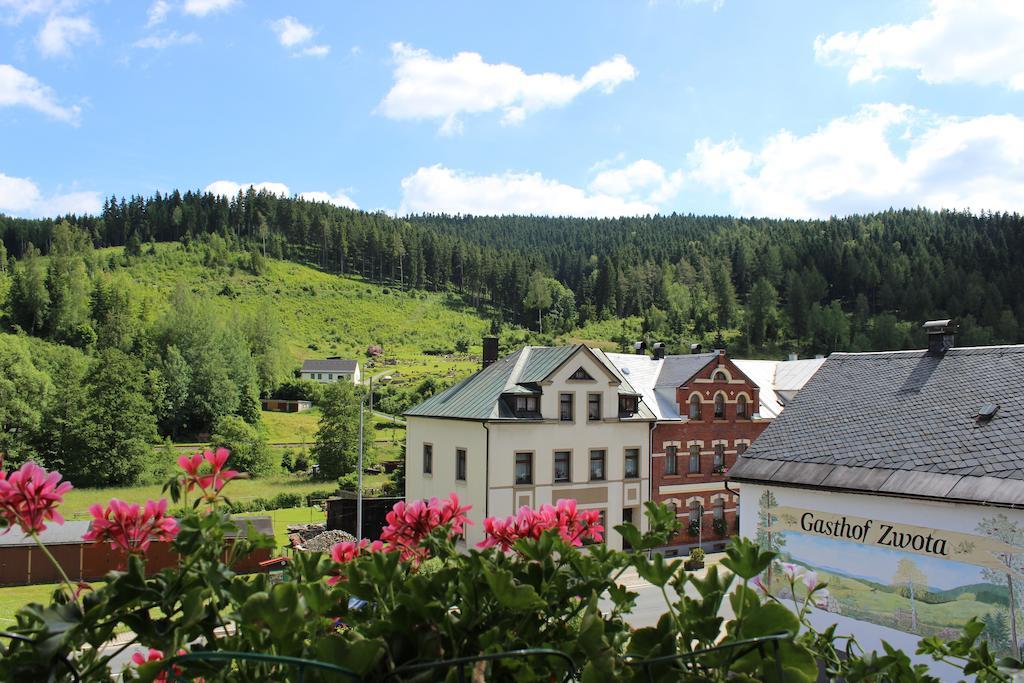 Landhotel Gasthof Zwota Клінґенталь Екстер'єр фото