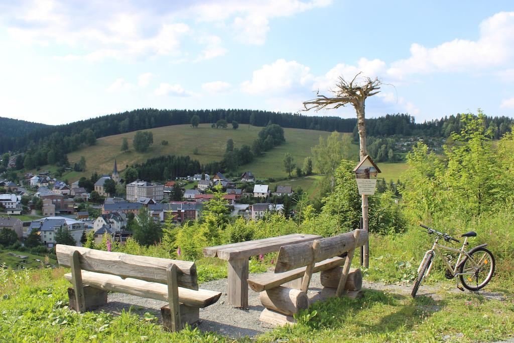 Landhotel Gasthof Zwota Клінґенталь Екстер'єр фото